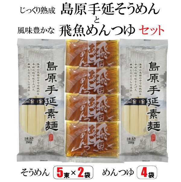 送料お試し 島原手延そうめん 5束×2袋 ＆ 麺つゆ4袋 セ