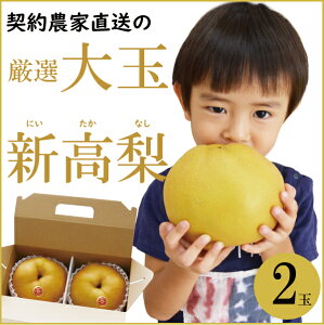 送料無料 新高梨 2玉入 大玉 梨 なし 【9月中旬頃より順次出荷】産地直送 和梨 大きい 甘い 高糖度 長崎県 島原