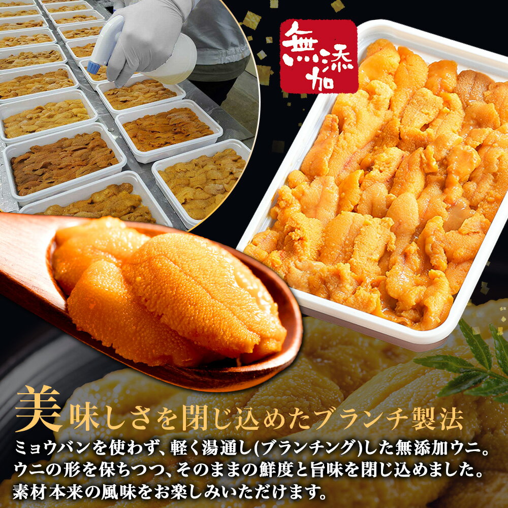 雲丹 100g 鱒いくら醤油漬け 100gx2個 セット うに ウニ チリ産 ミョウバン不使用 冷凍 イクラ ます 鱒 マス いくら 魚卵 冷凍 海鮮丼 二色丼 父の日ギフト 食べ物 父の日 プレゼント お中元ギフト 御中元ギフト 手巻き寿司 送料無料 お取り寄せ グルメ お土産 北海道土産