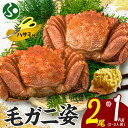 毛ガニ 姿 2尾 計1kg 2-3人前 1尾500g ボイル 蟹身 蟹味噌 かに 父の日ギフト 食べ物 父の日 プレゼント お中元ギフト 御中元ギフト カニ 毛...
