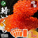 鱒いくら醤油漬け 100g10パック gift set マス イクラ 醤油漬け 魚卵 味付きいくら お土産 北海道土産 冷凍 小分け 手巻き寿司 イクラ丼 いく...