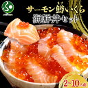 鱒いくら100g/サーモン200g 海鮮食べ比べセット(各1/各2/各3/各4/各5) ます いくら 鱒 マス イクラ 鮭 空飛ぶサーモン 大阪 北海道 海鮮 ...