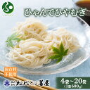 ひゃんで ひやむぎ 600g(4/8/12/20袋) 自家用 冷や麦 敬老の日プレゼント ヒヤムギ 夏ギフト 冷麦 干しひやむぎ 麺 乾めん 食べ物 敬老の日ギフト お取り寄せ グルメ 残暑見舞い gift set お土産 新潟県 越後魚沼 松代そば善屋 北国からの贈り物