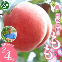 山梨県 笛吹市産 桃 2kg(4〜6玉)/4kg(8〜12玉) もも モモ 白桃 旬 産地直送 大玉 完熟 果物 お中元 フルーツ 桃 山梨 新鮮 人気 美味し...