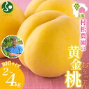 村松農園 黄金桃 2kg(4〜6玉)/4kg(8〜12玉) もも モモ 桃 黄桃 旬 産地直送 大玉 完熟 果物 フルーツ 桃 山梨 新鮮 人気 美味しい 贈答...