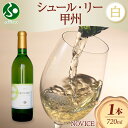 白ワイン NOVICEノヴィス シュール・リー 甲州 720mlx1本 フルボトル 辛口 日川中央葡萄酒 山梨県 笛吹市