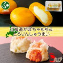 北海道 チーズinかぼちゃもち とろりん海老しゅうまい 各1個 セット チーズ かぼちゃ 芋もち 餅 カボチャ 芋餅 海老 エビ しゅうまい おやつ 惣菜 敬老...