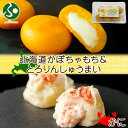北海道 チーズinかぼちゃもち とろりん蟹しゅうまい 各1個 セット チーズ かぼちゃ 芋もち 餅 カボチャ 芋餅 蟹 エビ しゅうまい おやつ 惣菜 冷凍 詰...