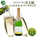 YOAKENO天王原シャルドネスパークリング 720ml モンデ酒造 ワイン シャルドネ スパークリングワイン 中元 夏ギフト お中元ギフト お酒 御中元ギフト...