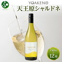 YOAKENO 天王原シャルドネ 750ml 12本セット モンデ酒造 ワイン シャルドネ 白ワイン 中元 夏ギフト お中元ギフト お酒 御中元ギフト 果実酒 ...