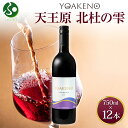 YOAKENO天王原北杜の雫 750ml 12本セット モンデ酒造 赤ワイン 中元 夏ギフト お中元ギフト お酒 御中元ギフト 送料無料 果実酒 敬老の日 プレ...