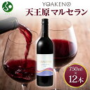 YOAKENO天王原マルセラン 12本セット 750ml モンデ酒造 赤ワイン 中元 夏ギフト お中元ギフト お酒 御中元ギフト 果実酒 送料無料 敬老の日プレゼント gift set キャンプ バーベキュー パーティー 贈答用 誕生日 北国からの贈り物