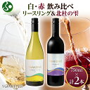 YOAKENO 白・赤ワイン飲み比べ 天王原信濃リースリング 北杜の雫 各1本 モンデ酒造 ワイン 中元 夏ギフト お中元ギフト お酒 御中元ギフト 果実酒 送...