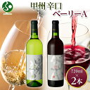 甲州辛口 ベーリーA 2本セット 720ml モンデ酒造 ワイン 敬老の日 ギフト お酒 敬老の日 プレゼント 果実酒 送料無料 お中元ギフト 御中元ギフト 中...