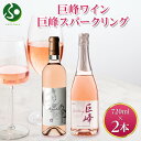 巨峰ワイン 巨峰スパークリング 720ml 2本セット モンデ酒造 ワイン お酒 送料無料 お歳暮ギフト 果実酒 御歳暮ギフト 晩酌 宅飲み キャンプ BBQ パーティー 誕生日プレゼント 年末年始 お正月 gift set