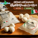 イタリアのチーズ職人がつくる 水牛と乳牛のボッコンチーニ 食べ比べ セット チーズ モッツァレラ 手作り 職人 イタリア 北海道産 生乳 クリームチーズ イタリ...