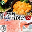 お歳暮 ギフト 幸雲丹80g(ムラサキウニ)むき甘えび 各1個(特製箱/ギフト箱)うに専門店 世壱屋 北海道産 ウニ 北海道 うに 冷凍 国産 ミョウバン不使用...