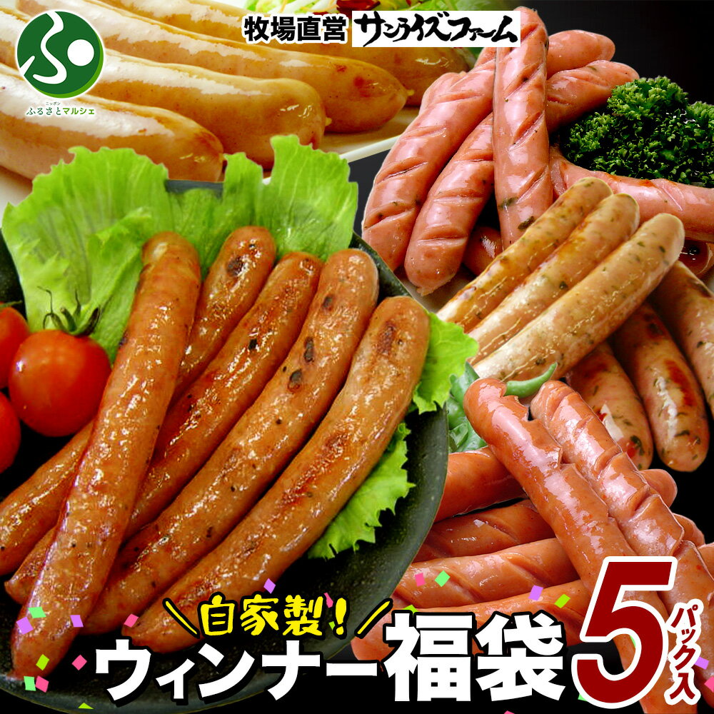 ウインナー 詰め合わせ 5パック セット 食べ比べ 自家製 ソーセージ バーベキュー BBQ おつまみ 惣菜 ..