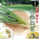 九条ねぎ 原体 根付き 3kg 京のおねぎはん 京野菜京都府産 葱 ネギ ラーメン うどん 味噌汁 お鍋 ねぎ焼き 薬味 業務用 常備菜 産地直送 お取り寄せ 京都 野菜 送料無料 西陣屋 京都府 亀岡市