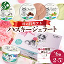 【母の日ギフト】 ハスキージェラート 3種セット 計6個/計12個/計18個/計30個 母の日 プレゼント ミルク ショコラ ピスタチオ ジェラート 専門店 デ...