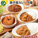 弟子屈カレーセット 4/10/20食(チキン カレー レトルト 食品 北海道 スープカレー セット チキンレッグ 高級 業務用 レトルト カレー ギフト 詰め合...