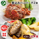 和豚もちぶた 煮込みハンバーグ チーズハンバーグ 2種 ミートソース チーズデミソース 食べ比べ 煮込み 冷凍 グルメギフト お肉 ギフト 豚肉 ハンバーグ ギ...