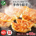 和豚もちぶた 手作り餃子 計40個 ギョーザ 国産 ブランド豚 肉 中華 メイン おかず お惣菜 食べ物 ギフト 花以外 プレゼント 母の日 ギフト 2025 ...
