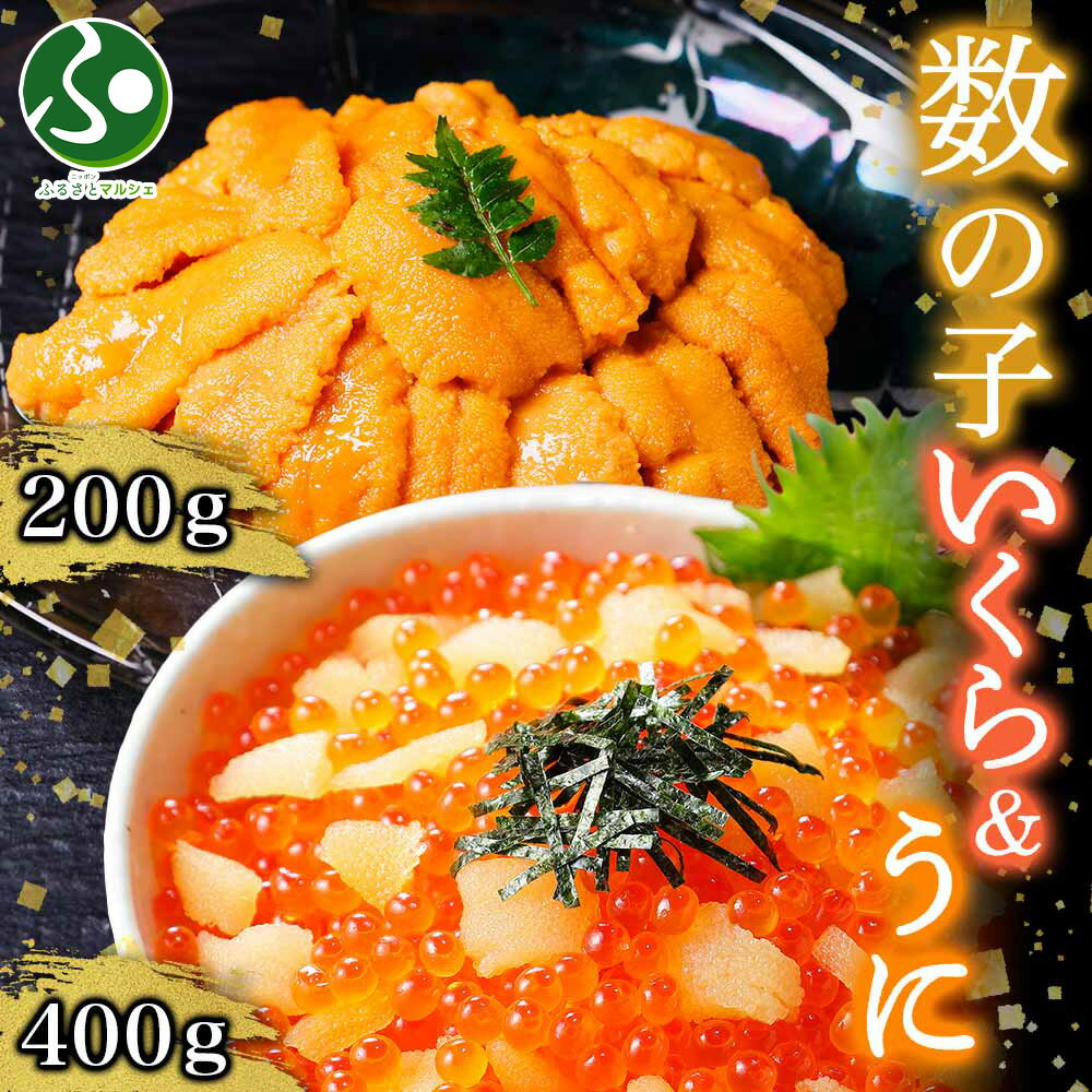 数の子 いくら醤油漬け 計400g うに チリ産 計200g(カズノコ 鮭 イクラ さけ いくら 醤油漬け ウニ 雲丹 冷凍 魚卵 海鮮丼 手巻き寿司 お取り寄せ グルメ お歳暮 ギフト 食べ物 御歳暮 ギフト 送料無料 お正月 オードブル 年末年始 ごちそう 海産物 お祝い 人気 贅沢 贈答用)のサムネイル