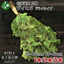 北海道産 白樺 ヴィヒタ(ドライタイプ)30-40cm/50-60cm 1本/3本/5本(ウィスク 乾燥ヴィヒタ ヴィフィタ テント サウナグッズ 屋外サウナ グッツ 通販 白樺の枝 白樺の葉 シラカバ お土産 北海道土産 通信販売 北国からの贈り物 産直ギフト)