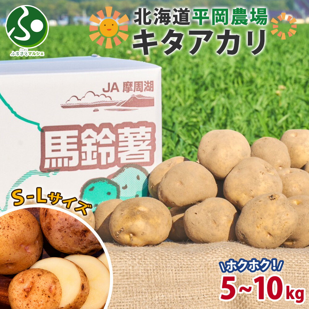 【安心発送】 楽天市場】キタアカリ 種芋の通販 野菜