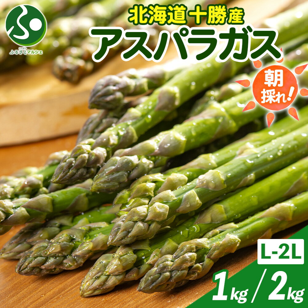 【5月下旬-6月中旬 出荷予定】 北海道産 グリーンアスパラガス L-2Lサイズ 1kg/2kg 北海道 十勝 朝採れ 産直 アスパラガス 十勝産 アスパラ 太い グリーンアスパラ 新鮮 旬 野菜 お取り寄せ グルメ 産地直送 送料無料 予約販売 北国からの贈り物