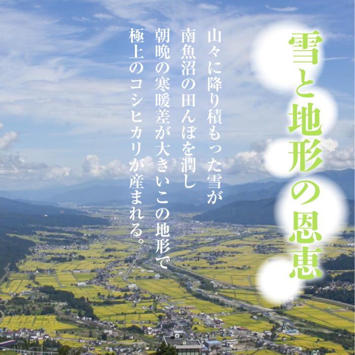 新潟県 南魚沼産 コシヒカリ 備蓄パックごはん 200g(5P/10P) レンジ 南魚沼 こしひ...