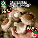 新潟県産 南魚沼 八色しいたけ 1kg 産地直送 国産 しいたけ 肉厚 シイタケ 野菜 バーベキュー 食材 誕生日 プレゼント 送料無料 敬老の日ギフト 食べ物 敬老の日 プレゼント 椎茸 生しいたけ 生椎茸 きのこ キノコ お土産 食品 内祝い お返し 極上 贈答品 特産品 健康 gift
