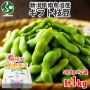 新潟県産 南魚沼 えだまめ 500g×2袋 1kg 産地直送 新潟 枝豆 プレゼント ホワイトデーのお返し 送料無料 おつまみ お花見 内祝い お返し ギフト ...