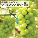 シャインマスカット2房 千葉県産 送料込シャインマスカット ハウス栽培 8月中出荷 千葉県産 贈答 国産 贈り物 喜ぶ 喜ばれる ギフト ぶどう 葡萄 クール便...
