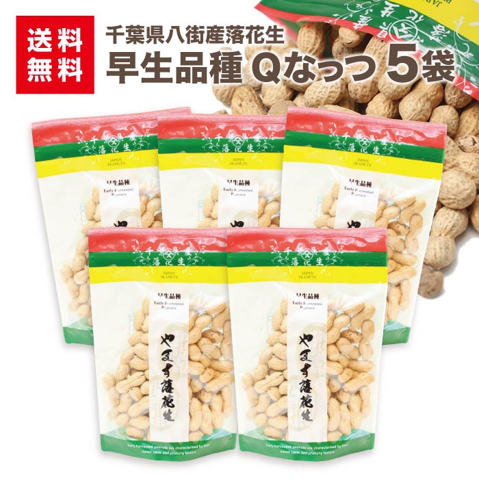 早生落花生 Qなっつ 170g×5袋千葉 八街産 送料無料 ピーナツ さや煎り おつまみ 名産 旨い落花生 煎りざや さや煎り 父の日 あす楽 お歳暮 お年賀 お中元 母の日 ギフト 贈物