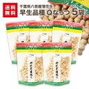 早生落花生 Qなっつ 170g 5袋千葉 八街産 送料無料 ピーナツ さや煎り おつまみ 名産 旨い落花生 煎りざや さや煎り 父の日 あす楽 お歳暮 お年賀 お中元 母の日 ギフト 贈物