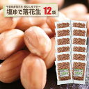 千葉県産 塩ゆで落花生 12袋 送料込 房の駅 おすすめ 常温保存可能 ゆで落花生 殻なし 千葉県産 ピーナツ おつまみ 落花生 お土産 お取り寄せ