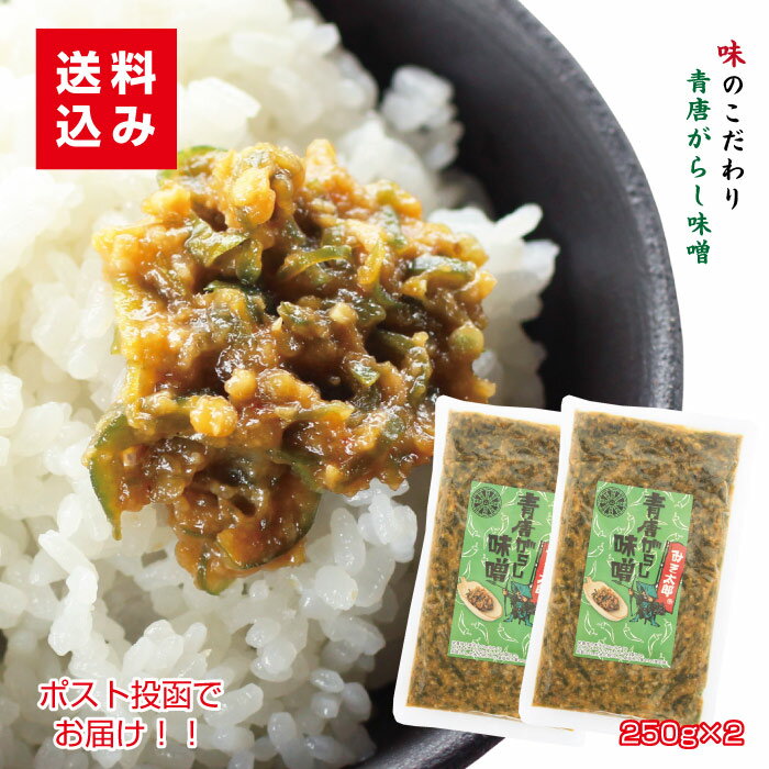 青唐辛子味噌250g×2袋 送料込ご飯の