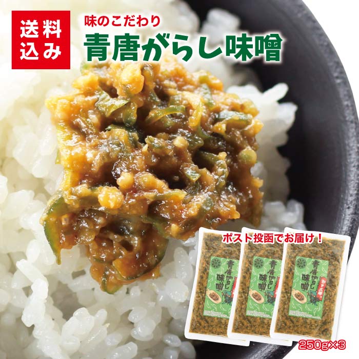 楽天通心販売　房の駅青唐辛子味噌250g×3袋 送料込みご飯のお供 青唐辛子みそ お取り寄せ おにぎり 具 少しのおかず ごはんにあう 喜ぶ 人気 おすすめ 送料無料