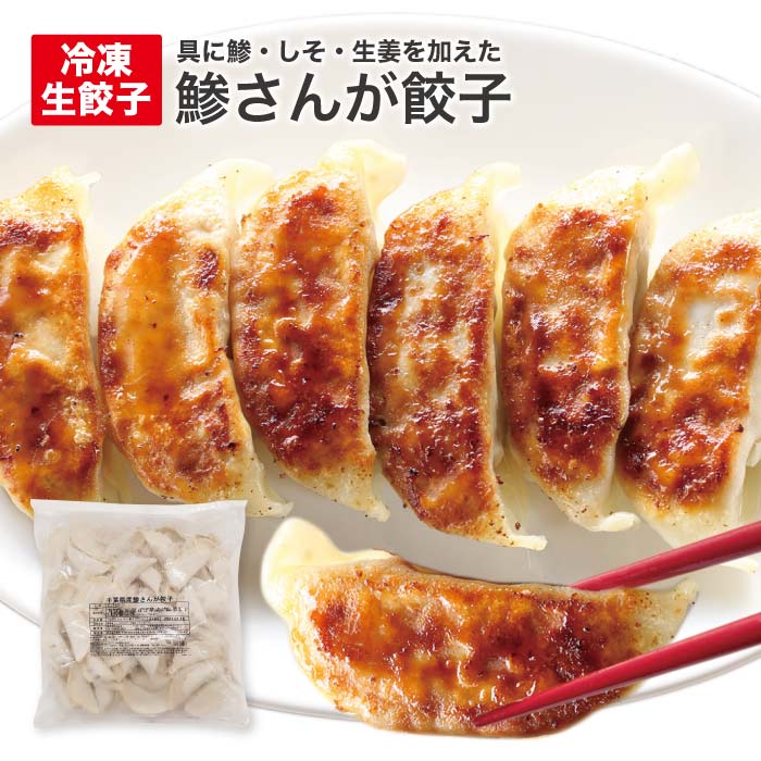 鯵さんが餃子 お得用おすすめ 人気の冷凍餃子 ご飯のお供 お取り寄せ 焼き餃子 ギフト 贈答 おうちご飯 ヘルシーで人気 父の日 お歳暮 お年賀 お中元 母の日 ギフト 贈物 こどもの日 千葉 ご当…