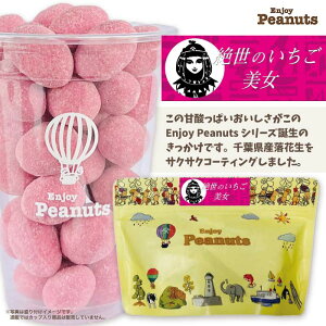 絶世のいちご美女Enjoy Peanuts房の駅 オリジナル 豆菓子 千葉 お土産 ご当地 お菓子 取り寄せ