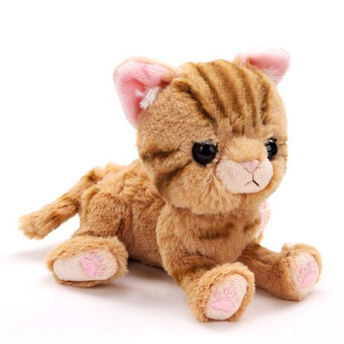 Kitten キトン アメリカンショートヘア ブラウン ぬいぐるみ（アメショー）[宅配便配送（メール便とネコポスは不可）]