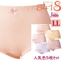 エトワール841 ベーシックショーツ 人気色 5枚組 LL (2L)ラッキーアソートセット 5枚セット (5色 各1枚づつセット 鹿の子編み ゴムの取り替え口付 手洗い・ネット使用で洗濯機可)【送料無料】【メール便対応】【ギフトラッピングは不可】(4)