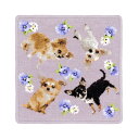 cococi wanko チワワ シェニール織 タオルハンカチ(イヌ 犬 いぬ ダックスフンド シュニール織)【メール便対応】【お取り寄せ商品】