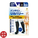 【送料無料】バンテリンコーワ リカバリー カーフスリーブ コスモブラック L (靴下 ソックス ムレにくい 伸縮性 UVカット 着圧)【メール便対応】※送料込み...