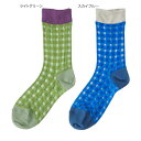 【日本製】ande シースルーソックス GINGHAM(ギンガム)ライトグリーン・スカイブルー(靴下 薄手ソックス 天然有機系デオドラント加工(ロンフレッシュ)透明感 フェミニン シアー素材)【メール便対応】【お取り寄せ商品】250215