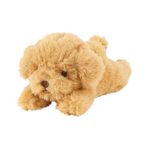 乐天商城 - くたっとびより マスコット トイプードル（ぬいぐるみ 犬 イヌ いぬ プレゼント ギフト）[宅配便配送（メール便とネコポスは不可）]