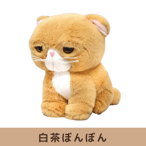 もちゃぼんぼん 白茶ぼんぼん（ネコ シロチャ）[宅配便配送（メール便とネコポスは不可）]