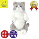 サンレモン ひざねこ すやすや ぬいぐるみ グレー GY ひざ猫 (ネコ ぬいぐるみ 抱き枕 ) サンレモン【送料無料】※北海道、九州地方、沖縄県、離島は配送不可商品【お取り寄せ商品】